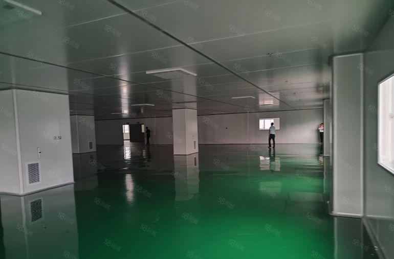 常平木伦新出1650平无尘车间设备都还保留无需过多装修