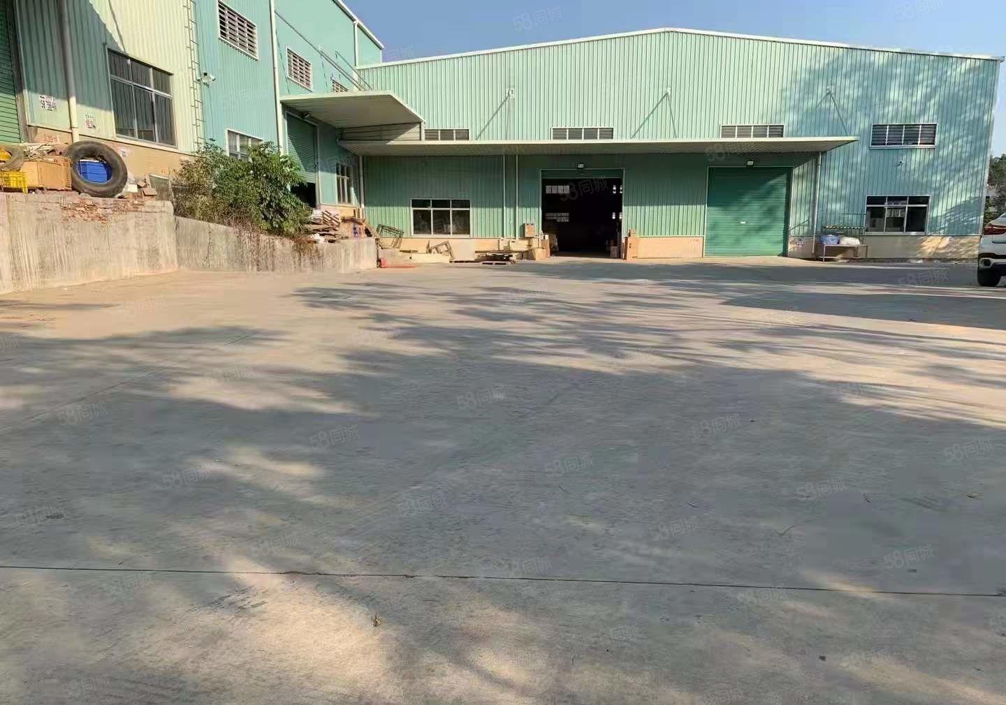 常平新出原房东单一层钢结构厂房招租