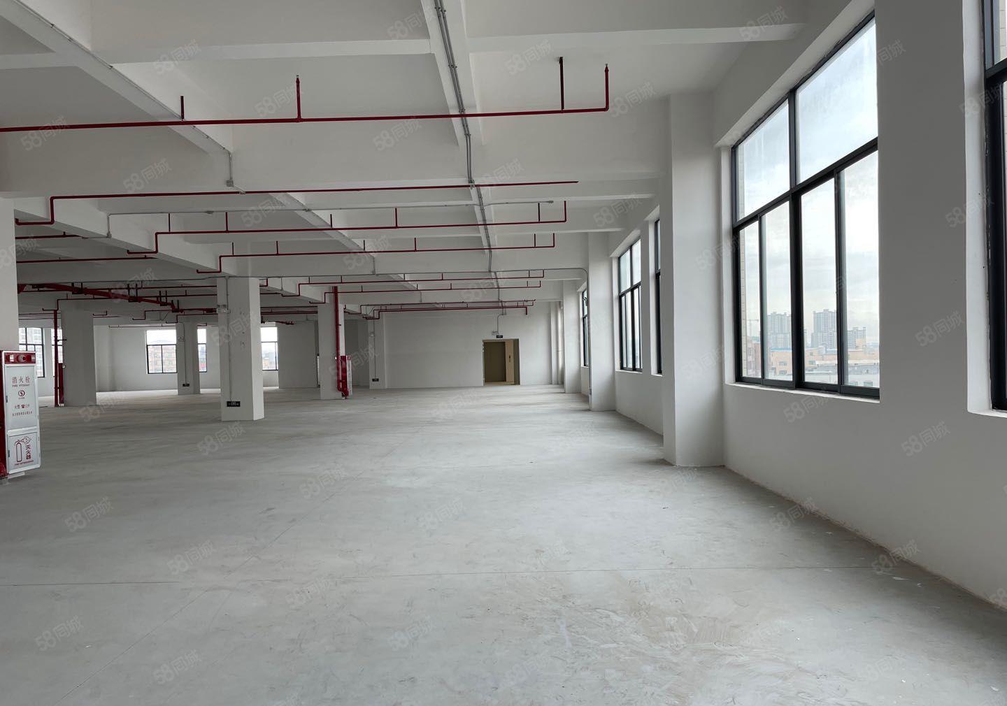 东莞厚街镇原房东独院厂房8层面积50000方水电齐全有红本