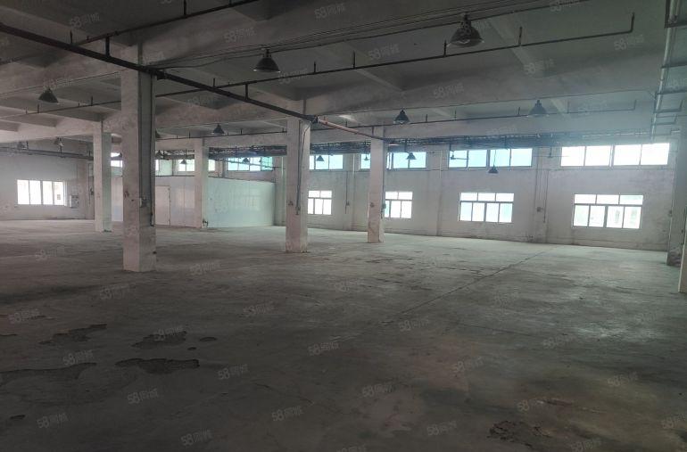 常平单一层独门独院厂房一万一千平方，现成办公室价格便宜实惠。