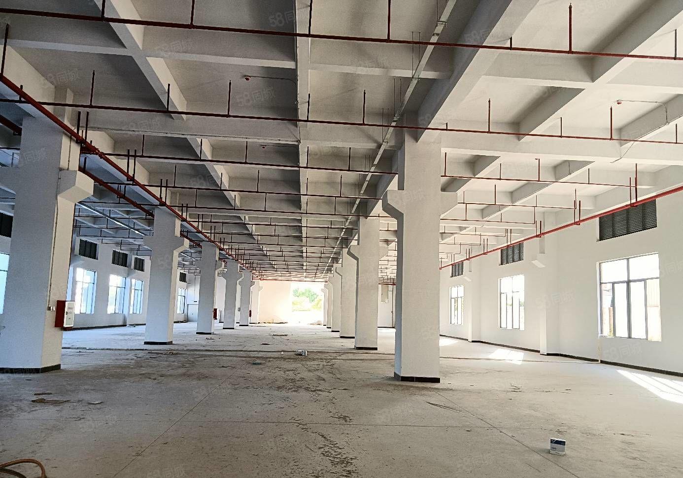 红本厂权，自带环评，证件齐全