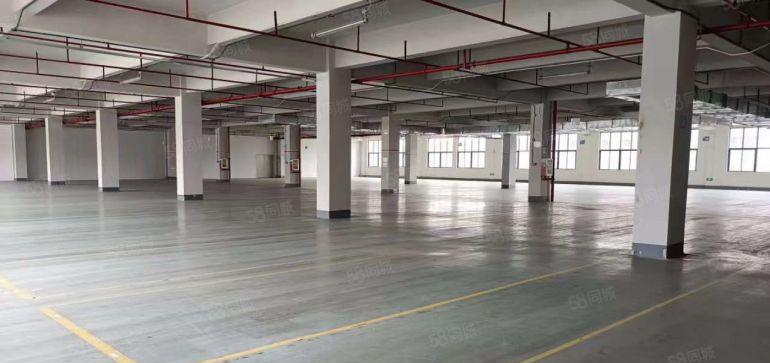 9元价格可谈原房东常平桥头1000平带精装修厂房仓库 可分租