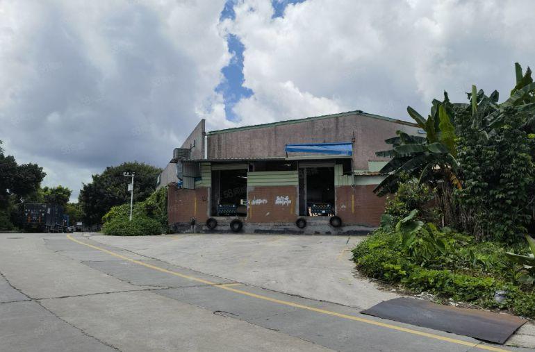 常平原房东砖墙到顶单一层钢结构1950平，滴水8米带办公室