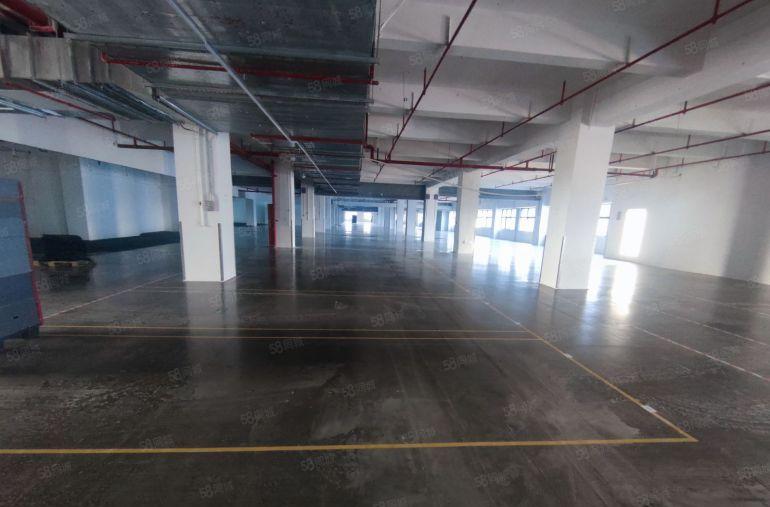 常平高速路口园区厂房出租3000平交通便利水电齐全价格优惠