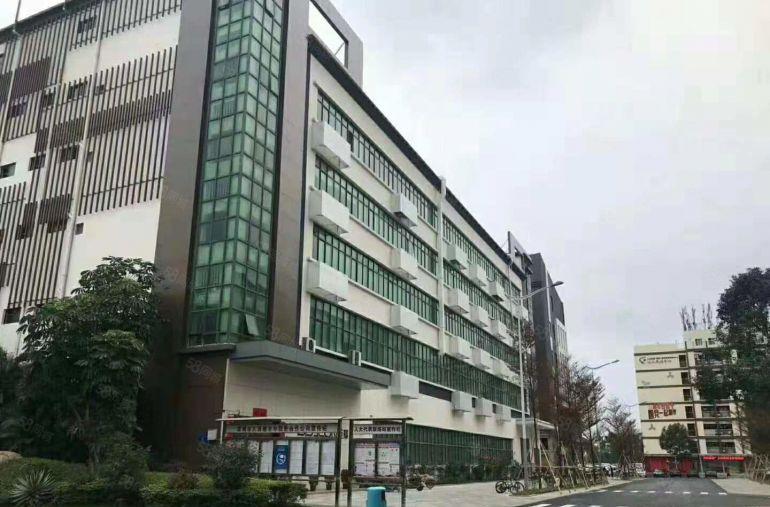 常平工业园一楼1000平米  二楼3000平米 大小面积分租