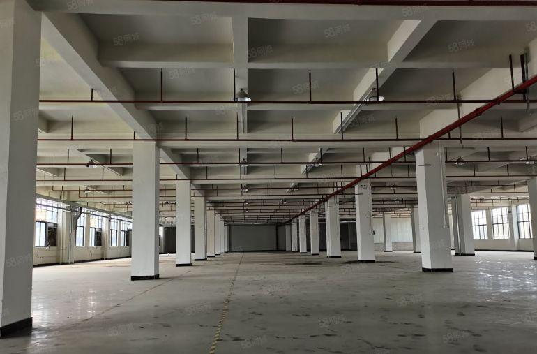 常平横沥原房东可分租3楼整层2700平方高5米现成装修好招工