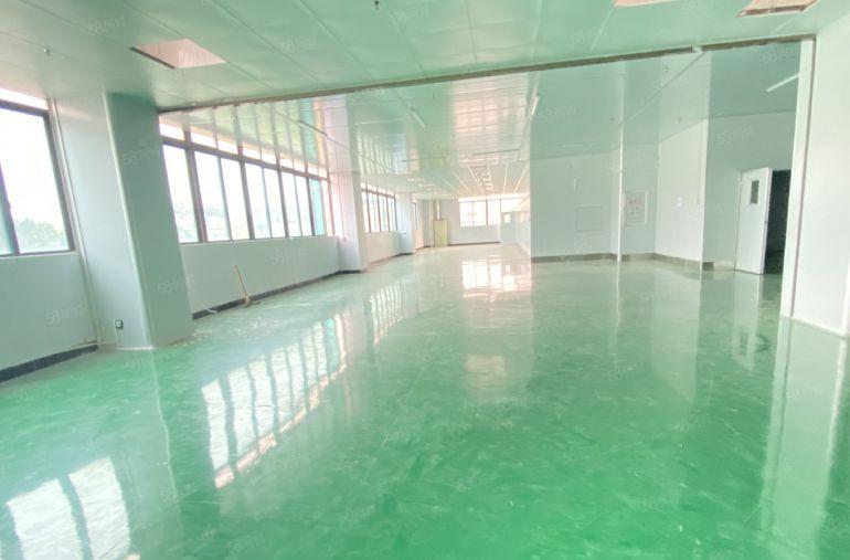 常平原房东 二楼1500 无尘车间 低价10元出租形象超好