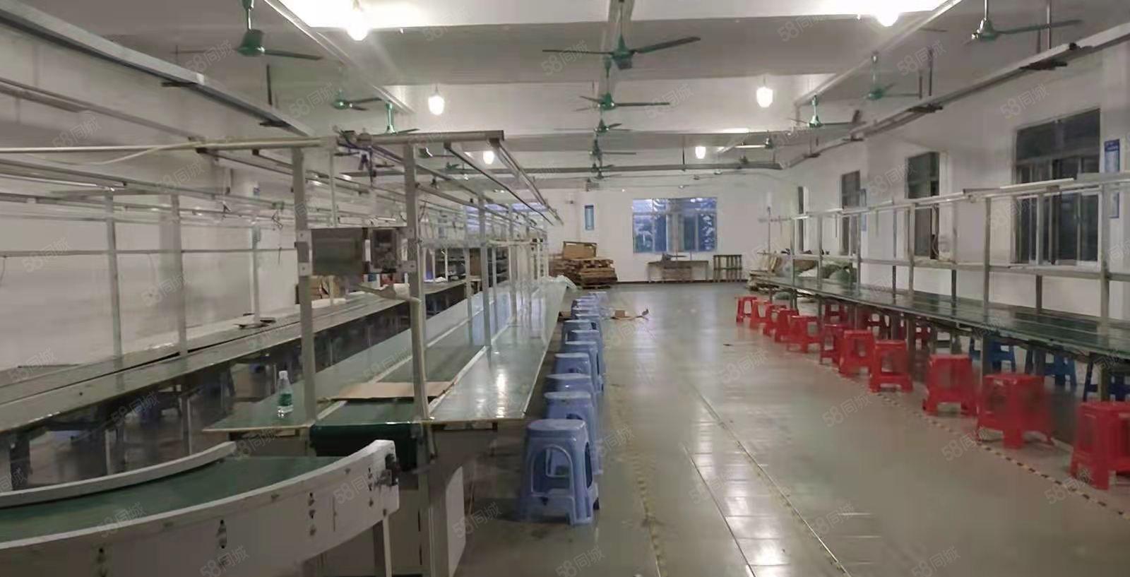 原房东常平实际面积厂房出租 水电齐全 随时可看，工业用地