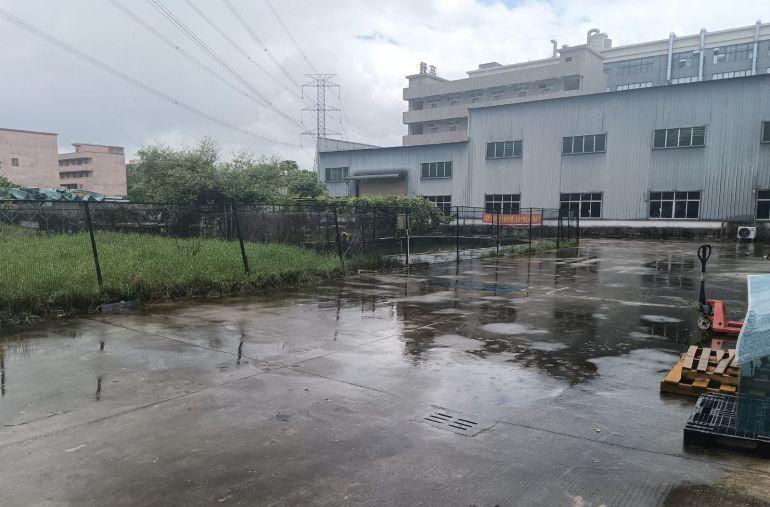 原房东单一层滴水11米高，中间有13米高，有水，电地坪漆