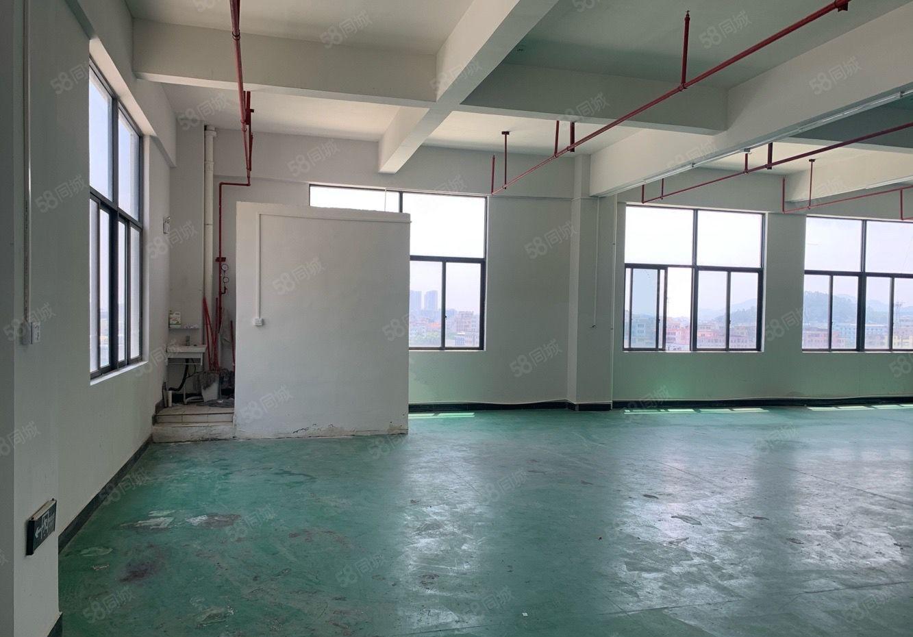 常平镇现成精装修厂房，人流量大，易招工，面积实在，入驻即生产