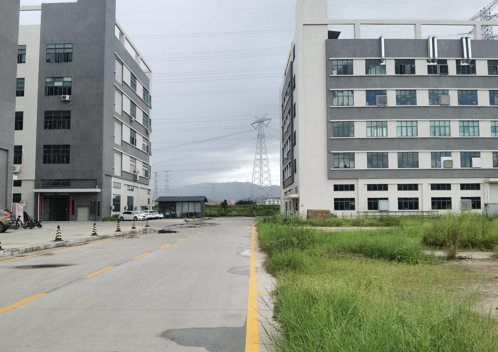 低价租常平常黄新出原房东标准一楼1800平6米高带牛角大小分