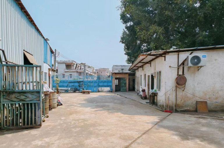 常平10块钱一手原房东独院厂房价格便宜面积实在位置好招工