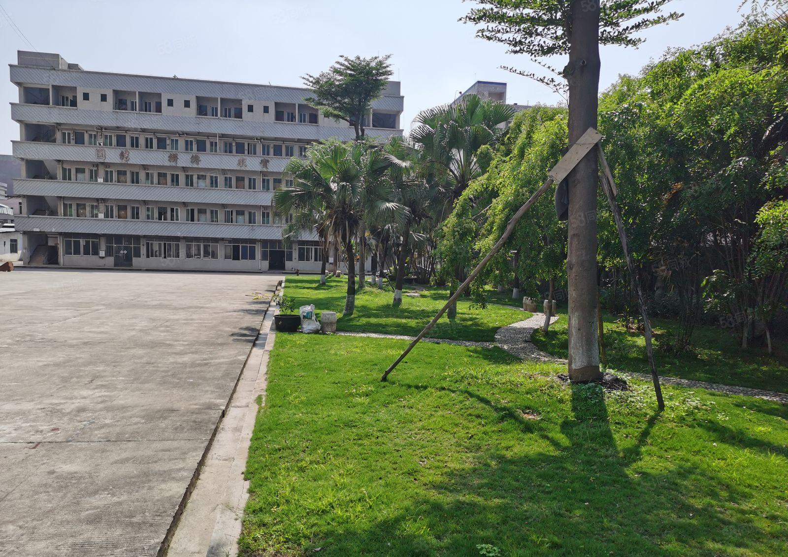 常平国有证红本独院厂房18000平方招租，精装修，高6,5米