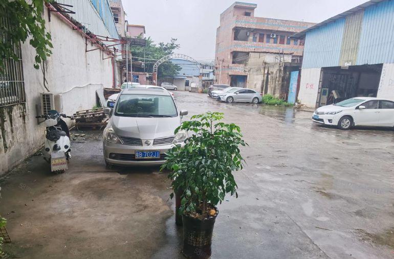 常平塑胶城原房东单一层500滴水7米。工业用地！