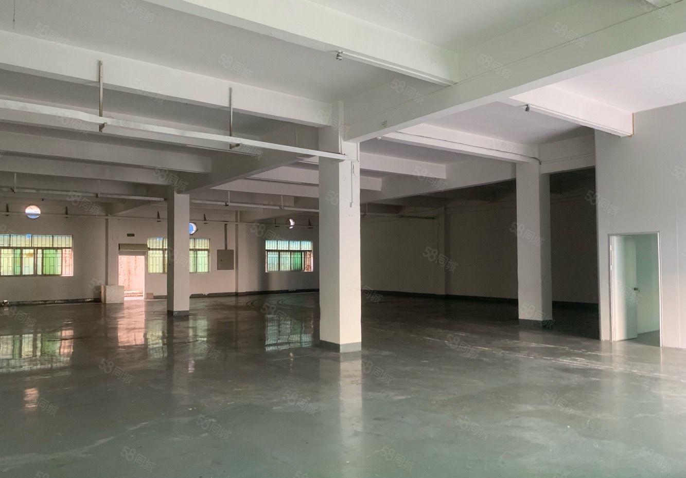 常平新出标准一楼780平 现成装修办公室 主线到车间工业用地