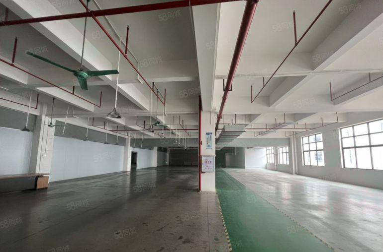 9元红本精装修楼上2500平方，水电齐全，拎包生产