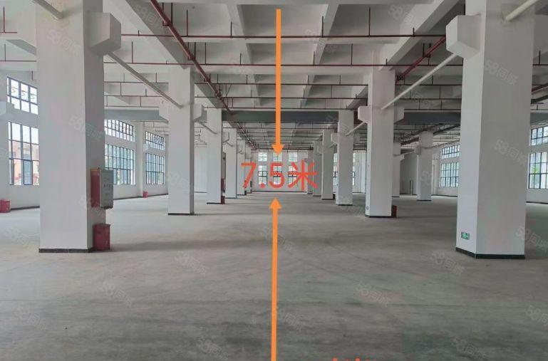 全新红本厂房出租，带丙类消防，主线3百千瓦到每一层车间超划算