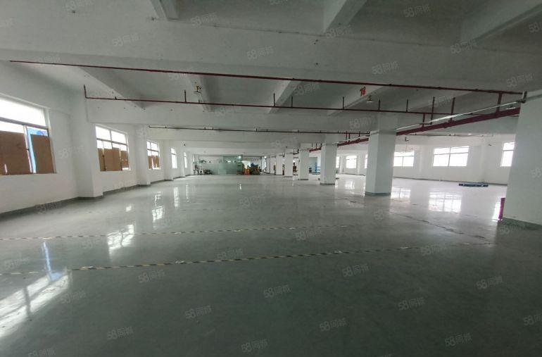 低价8元常平工业区2楼标准厂房带精装修出租3吨货梯，可分租