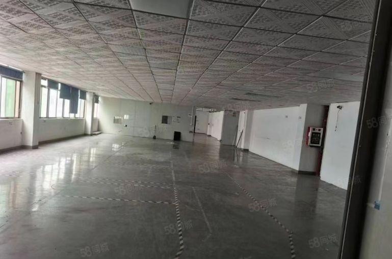 常平桥沥新出原房东独院3000平整租13元可以分租有装修