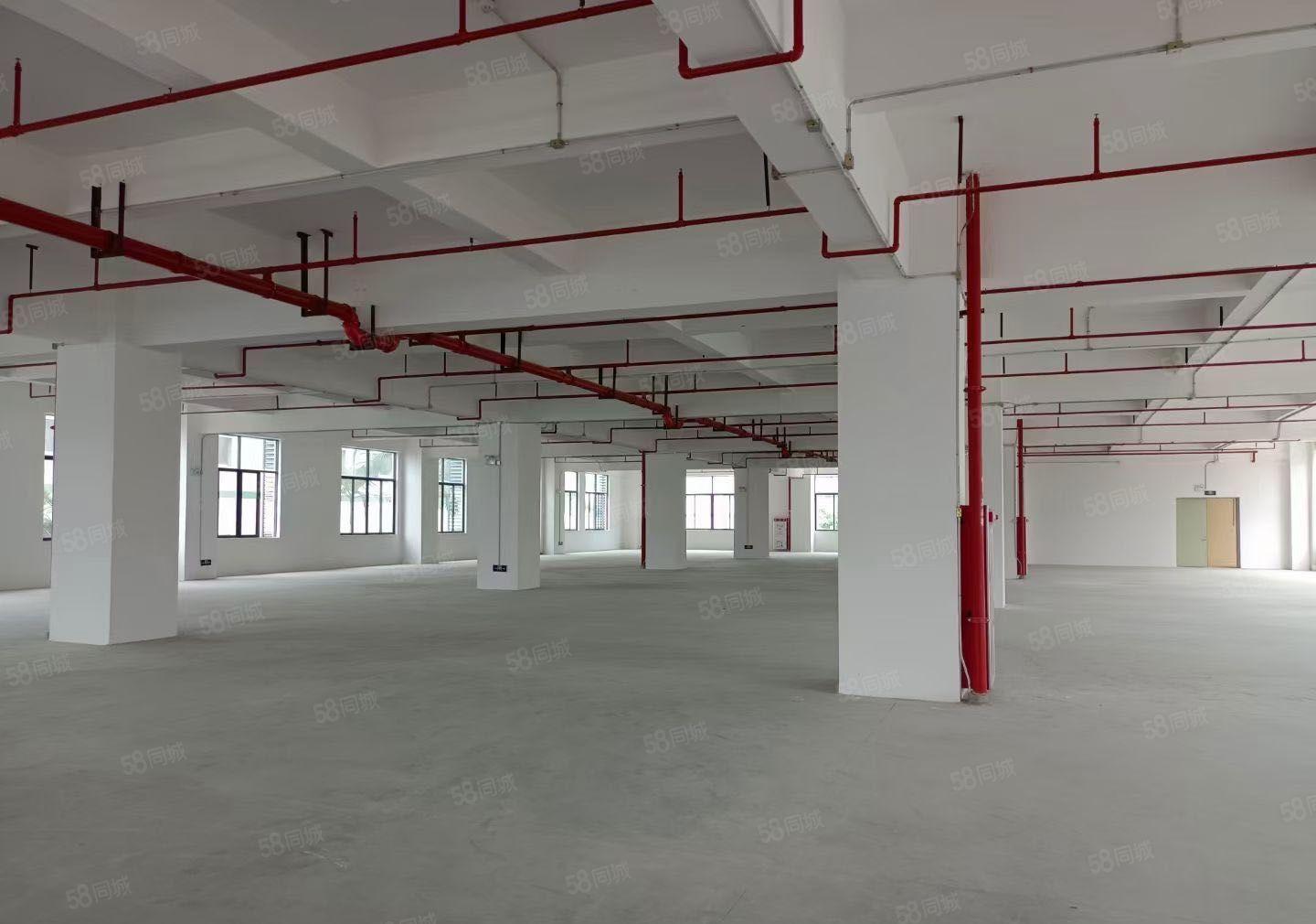 东莞厚街镇原房东独院厂房8层面积50000方水电齐全有红本