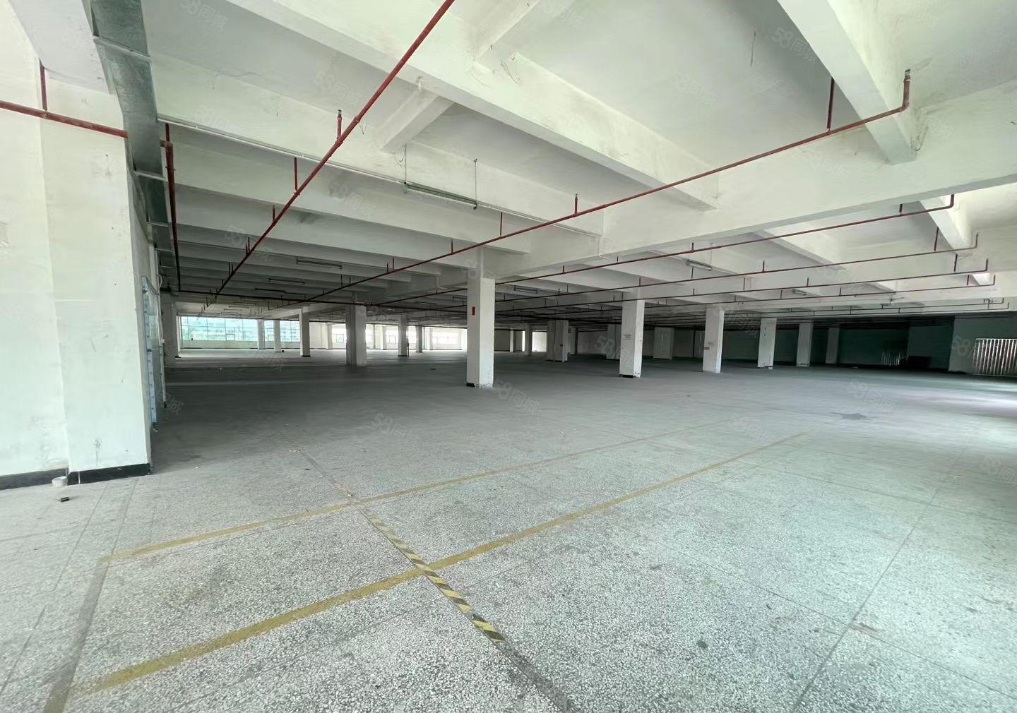 常平镇花园式空地超大带卸货平台厂房，分租楼上5200平