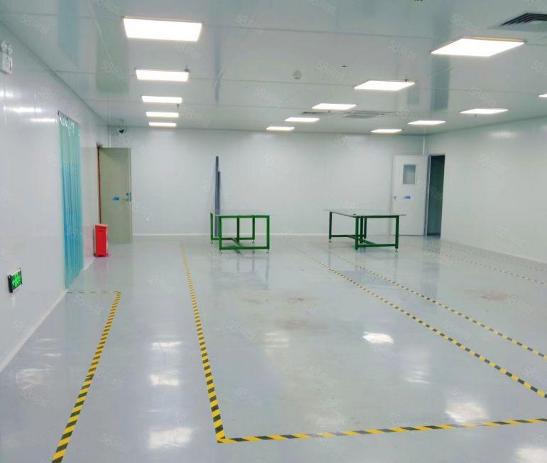 常平无尘车间低价厂房分租楼上1000平方适合手机屏电子模切等