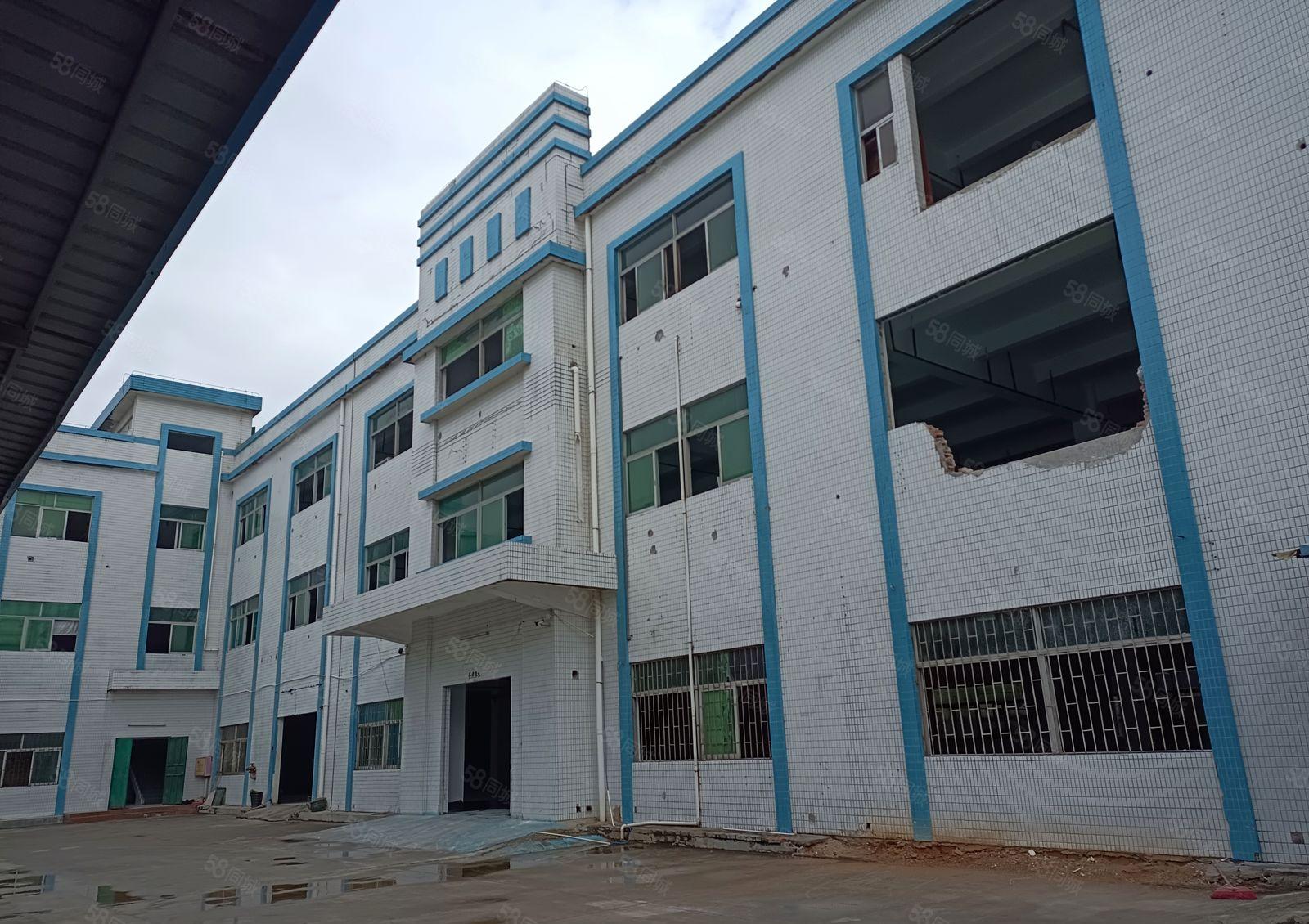 东莞周边花园厂房直租独门独户