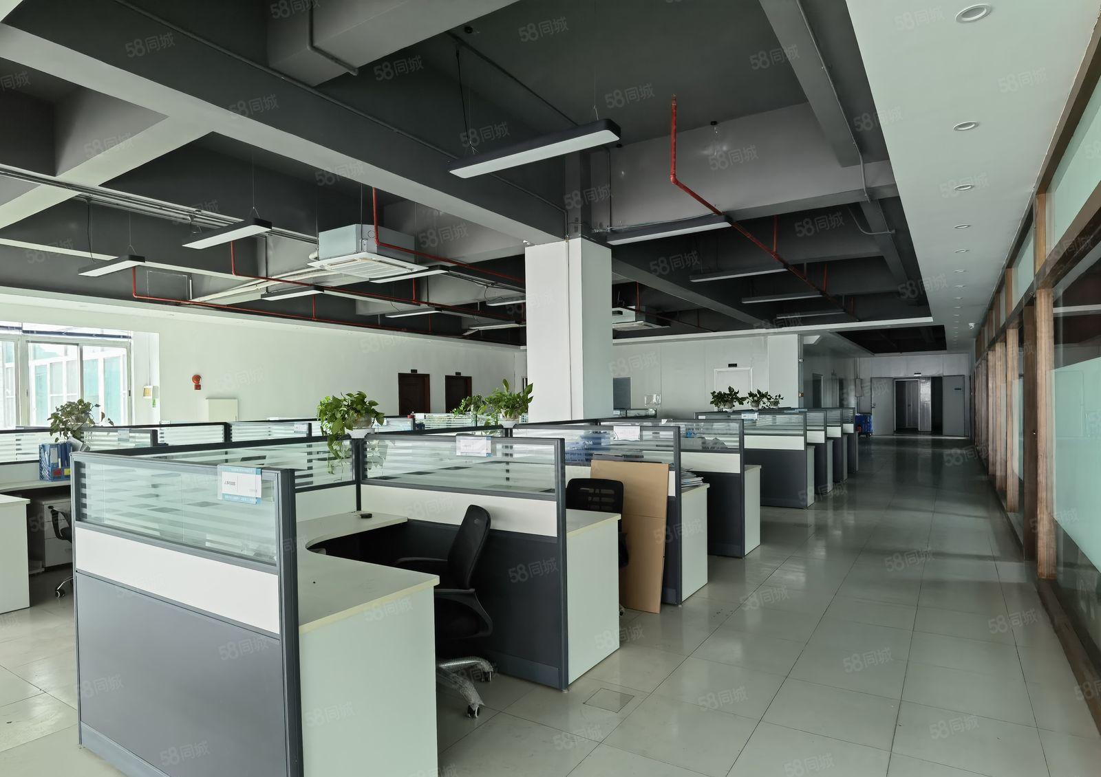 常平上市公司园区，带精装修航车，跨度长，园区空地大，环评秒过