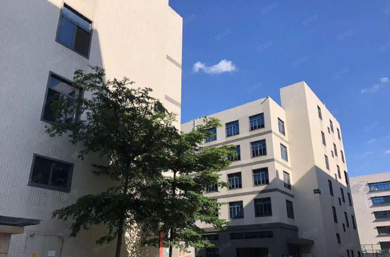 原房东0公摊直租！常平15000平单层3000平厂房仓库出租