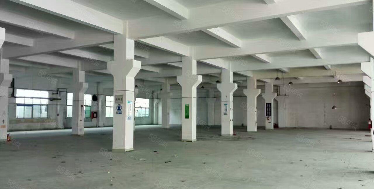 常平袁山贝新出工业园一楼1500平方7高厂房招租带牛角形象好