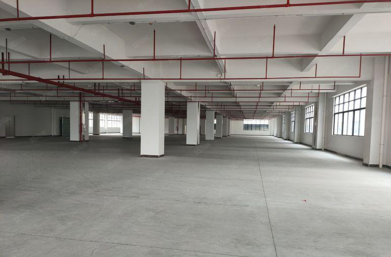 常平镇袁山贝原房东全新独院厂房低价出租12000方证件齐全