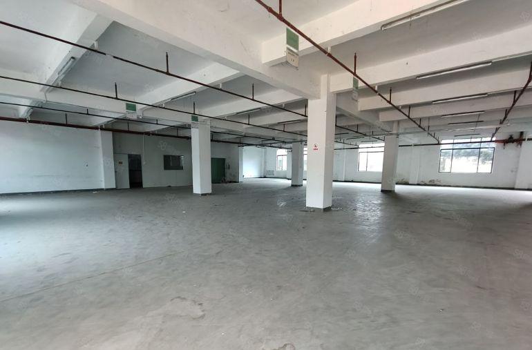 东莞常平新出原房东独门独院，独立办公楼，实际面积无公摊