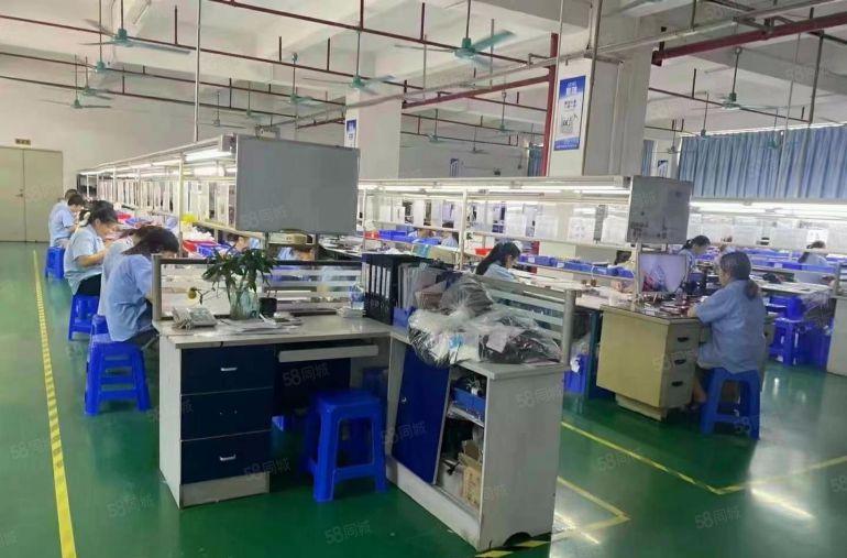 常平横江厦楼上精装修900平不要转让费，形象超好可办环评