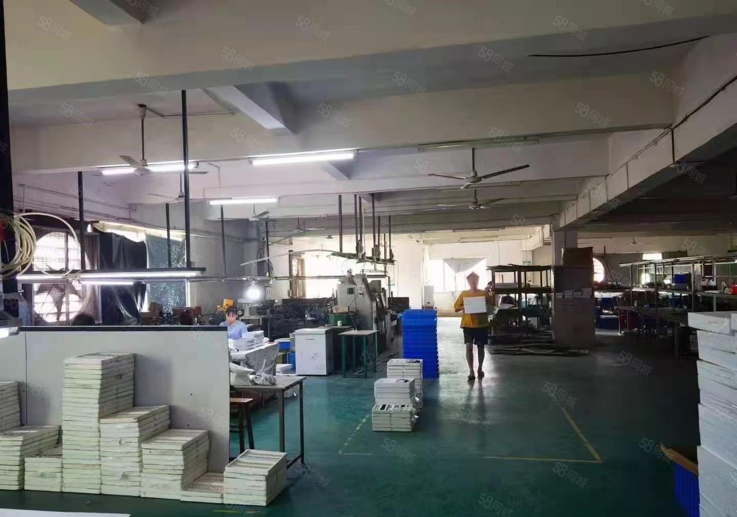 常平带现成装修厂房低价出租5001500平无转让费工业用地