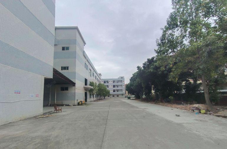 出租|常平10元标准独院无公摊空地超大花园式厂房格局方正