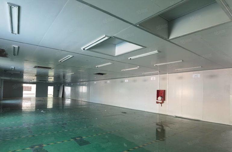 常平6000平一手房东现成装修办公室水电齐全标准独院厂房出租