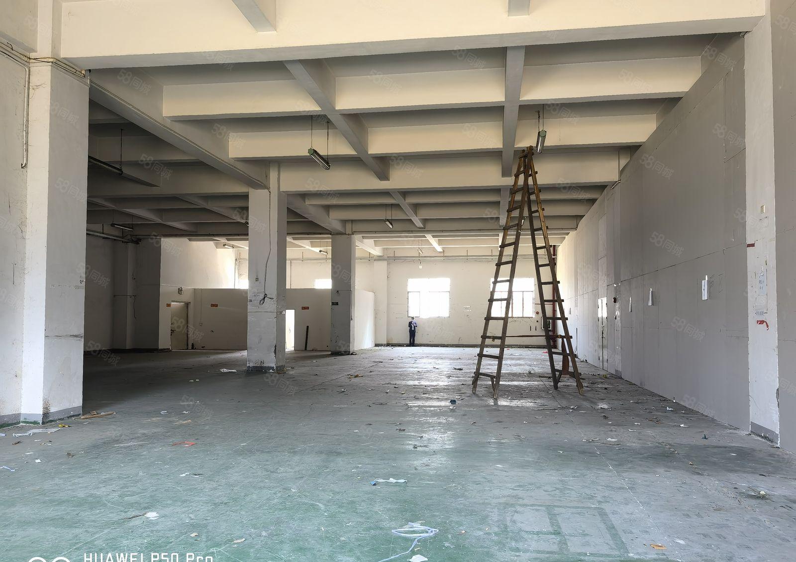 厚街新出超高7.5米标准一楼5400平方 工业园厂房大小可分