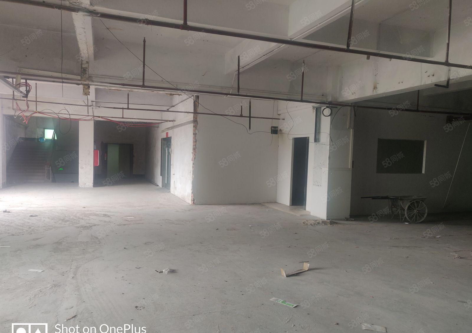 厚街新出楼上厂房，面积大租多少分多少，园区大好进车租金便宜