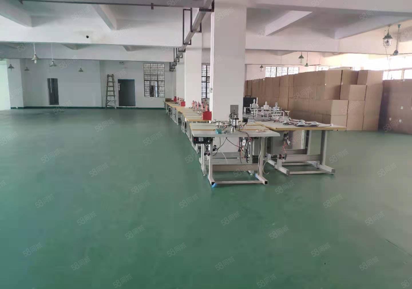 一手房东厂房出租出租仓库800平实际面积，水电办公室现成装修