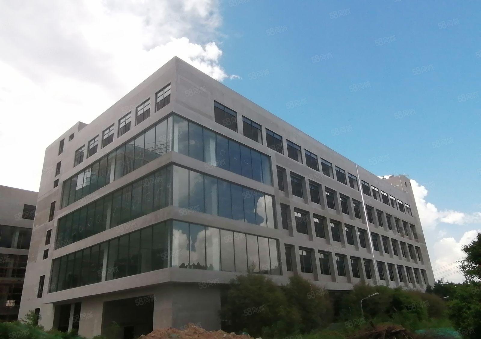 原房东全新独院定建厂房，标准工业用地，也可以包租，出租。