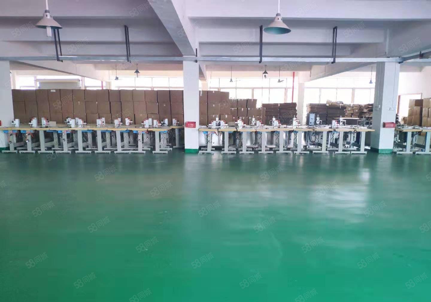 一手房东厂房出租出租仓库800平实际面积，水电办公室现成装修