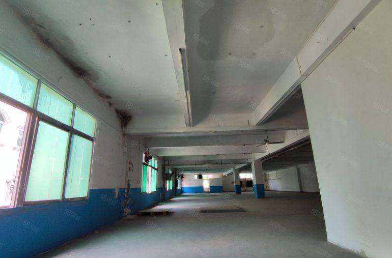 厚街镇新出1000平方标准厂房可办环评有喷淋好招工