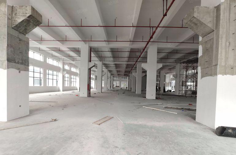 原房东厚街 全新园区厂房 带牛腿 楼上5米 适合各行业