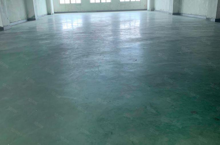 厚街桥头方便卸货电商仓库一层一户350平方带货梯