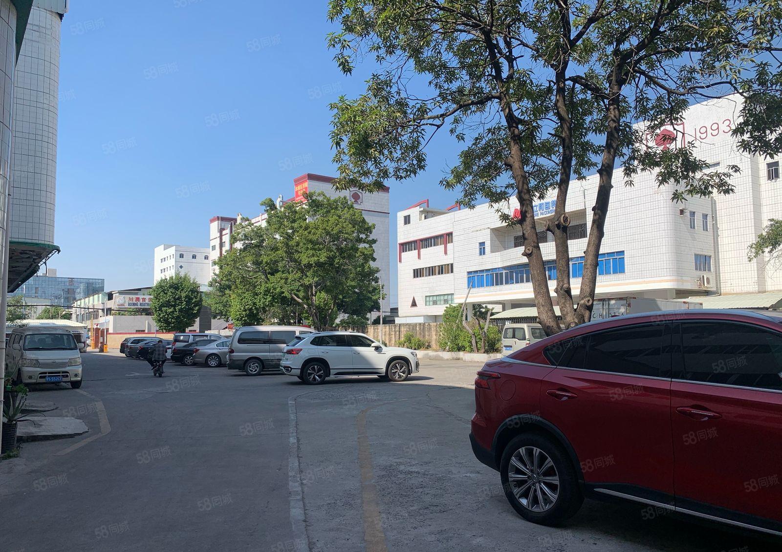 厚街工业园区一楼精装修800平方厂房仓库出租