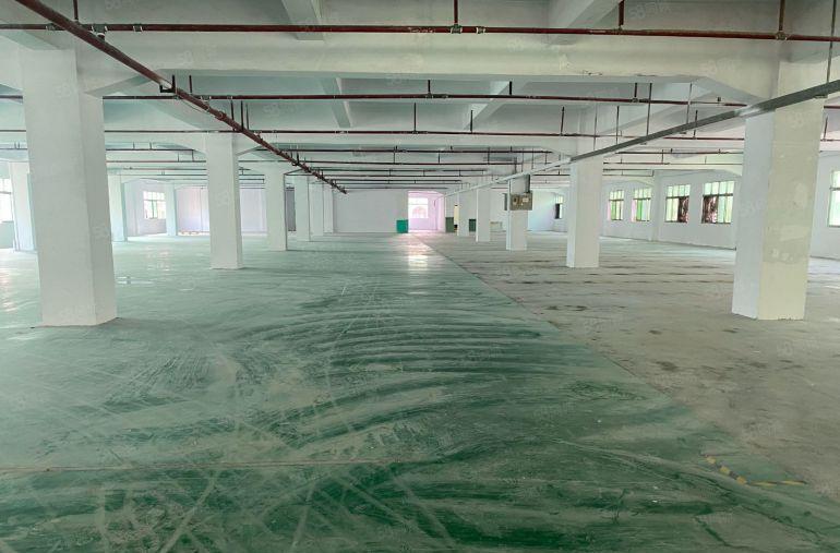 厚街镇西环路2700平大小可分租易招工独门独院交通方便原房东