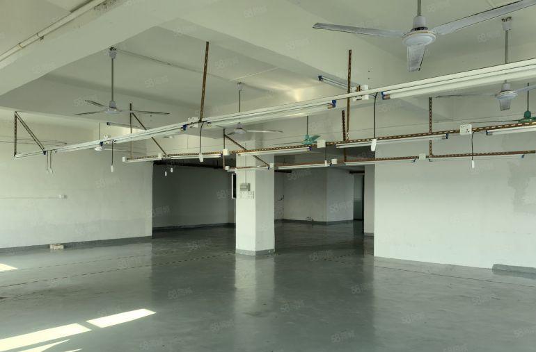 厚街 宝塘 精装办公现成水电 整层600平有电梯厂房低价出租