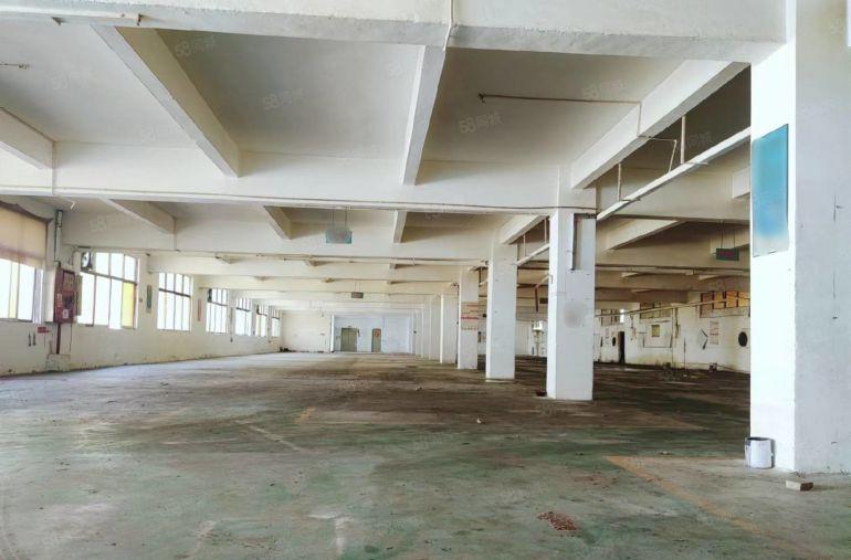 （出租）厚街宝屯原房东独院8500平，带现成精装修，可分租