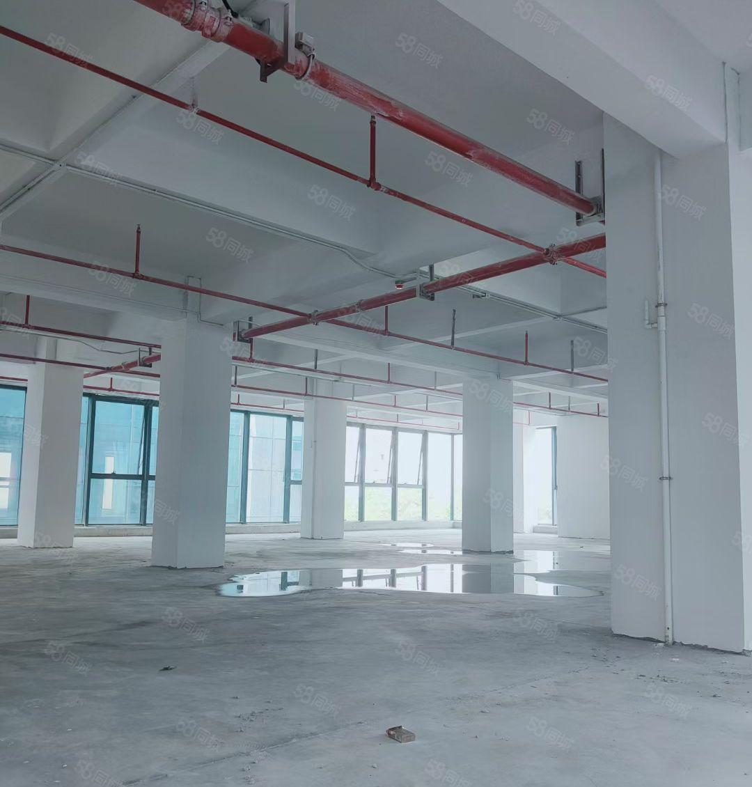 免租期6个月厚街全新厂房出租适合高端研发电商直播