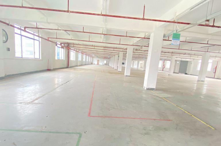 厂房出租  原房东 独院 适合电子五金模具鞋业家具等等
